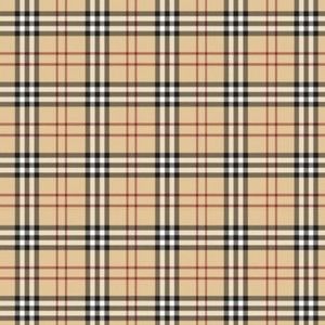 Meet your Posher, Damian